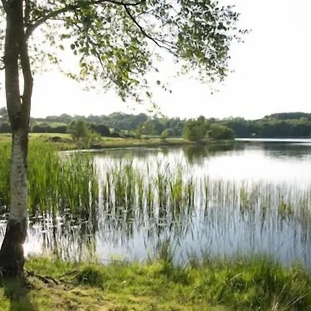 Hotel Breffni Arms Arvagh