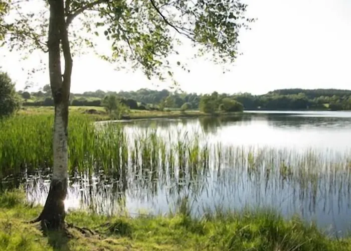 Отель Breffni Arms Arvagh