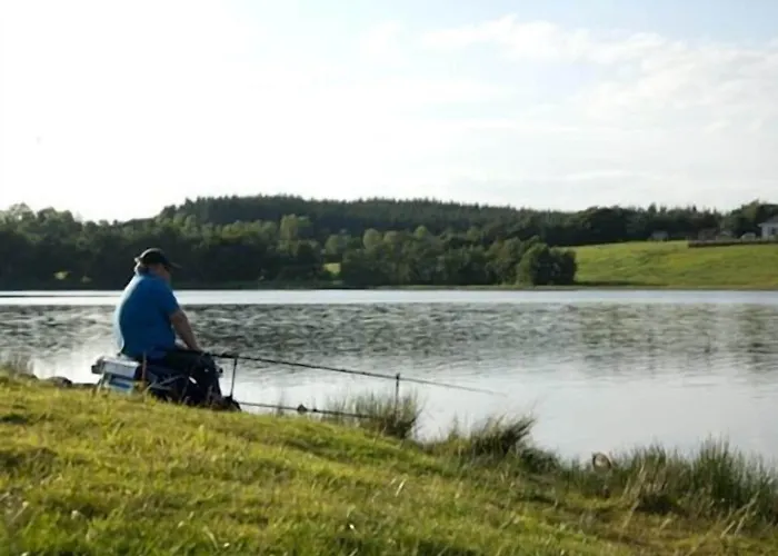 Отель Breffni Arms 3*